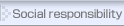social responsibility